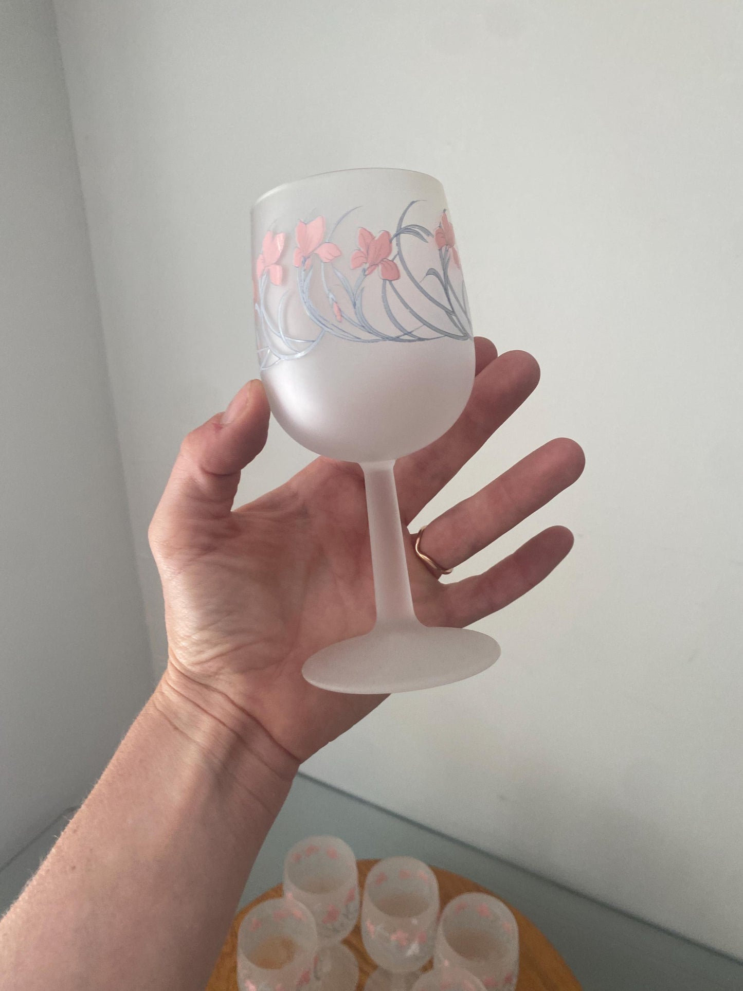 Set of 6 Retro Cerve Frosted Pink Iris Wine Glasses