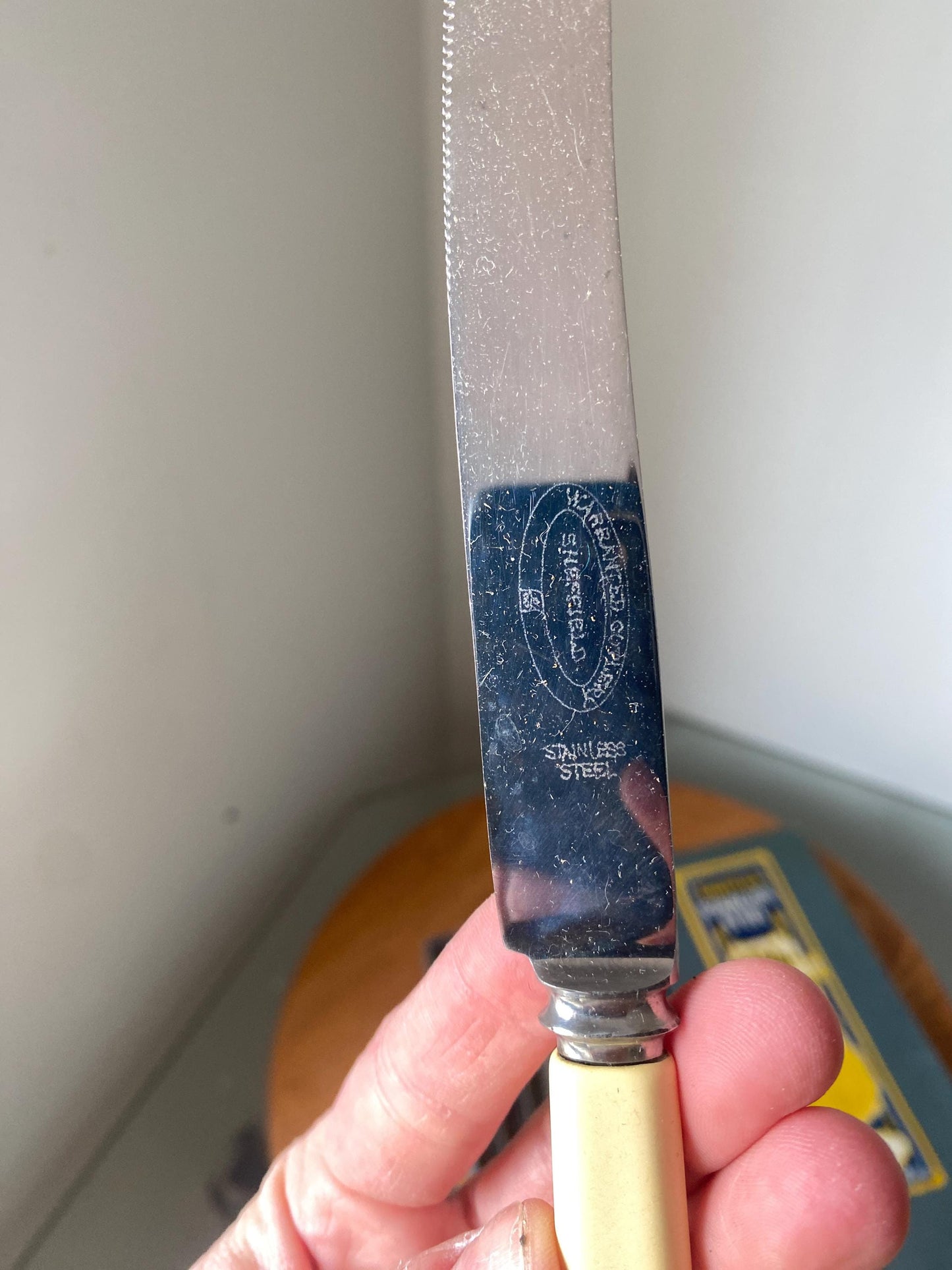Set of 6 Antique Stainless Steel Sheffield Butter Knives with Celluloid Handle in Original Box Made in England