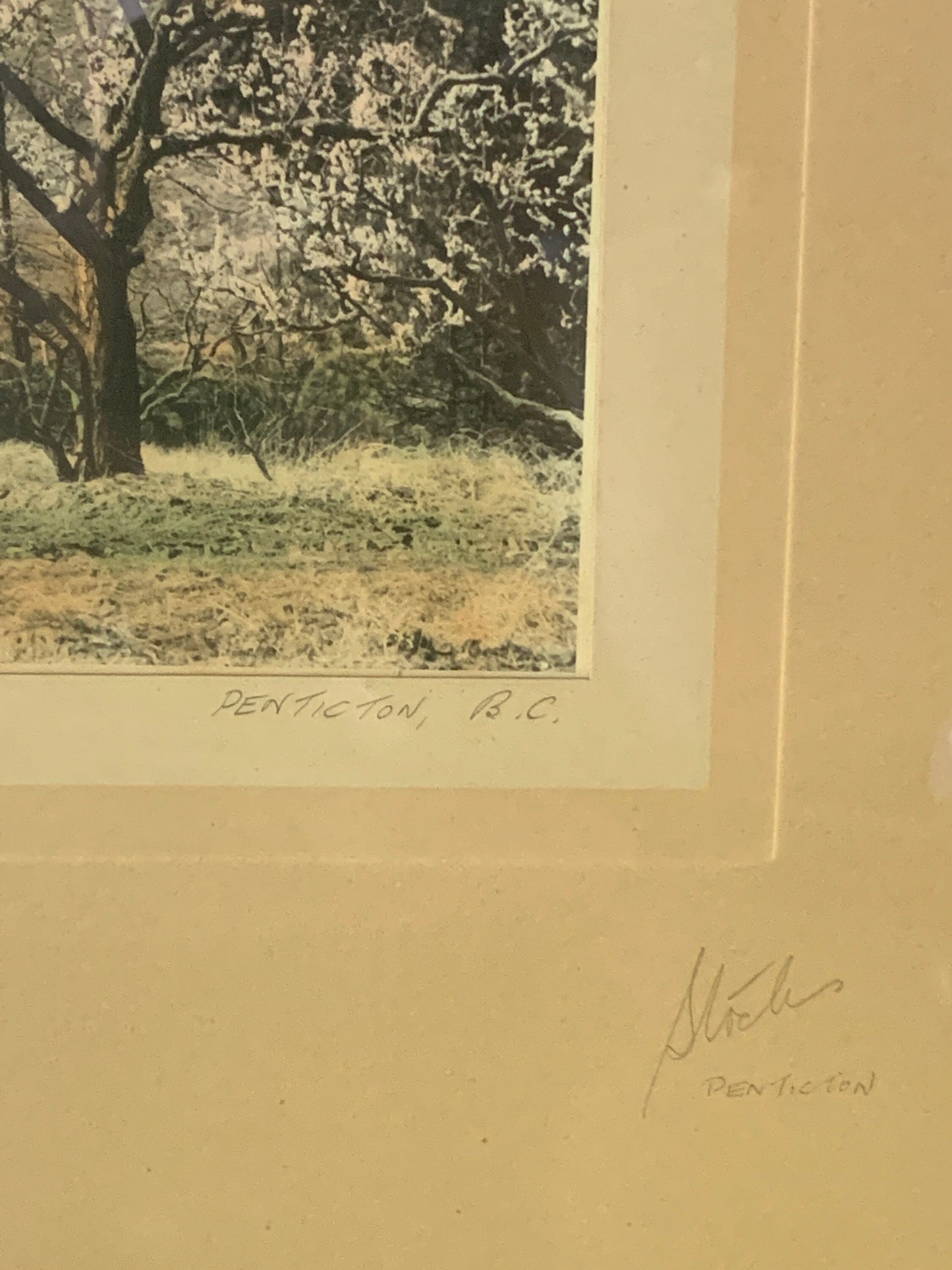 Vintage Framed Stocks Penticton BC Blossom Time Lake Skaha Colourized Photograph