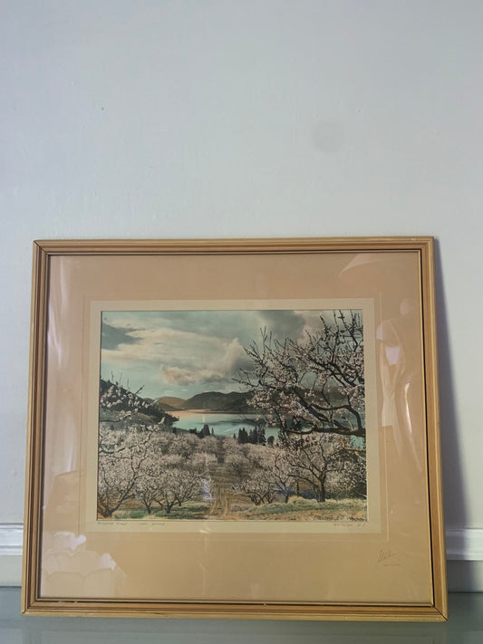 Vintage Framed Stocks Penticton BC Blossom Time Lake Skaha Colourized Photograph