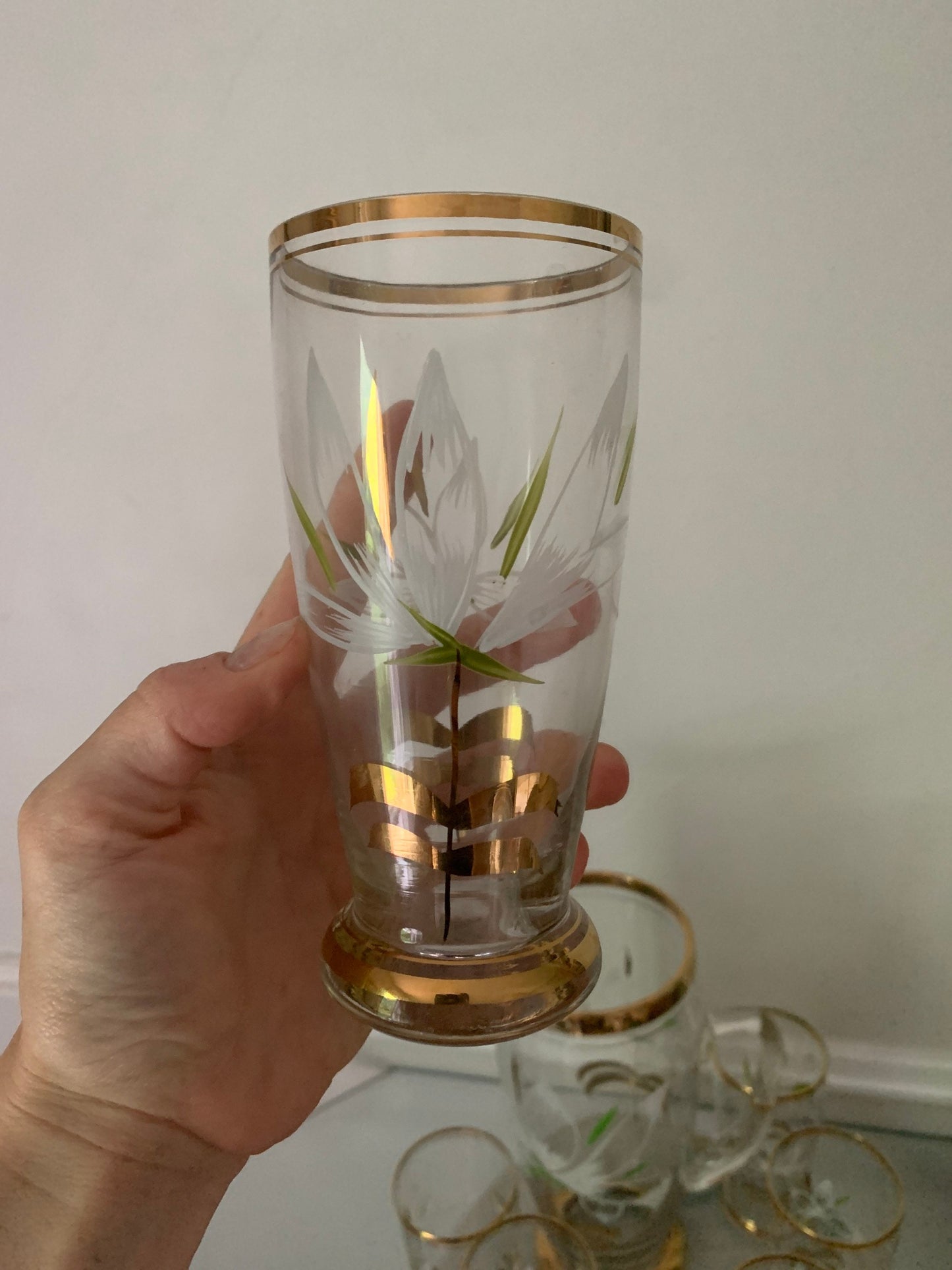 Vintage Set of 6 Hand Painted Gold Rimmed Glasses with Pitcher
