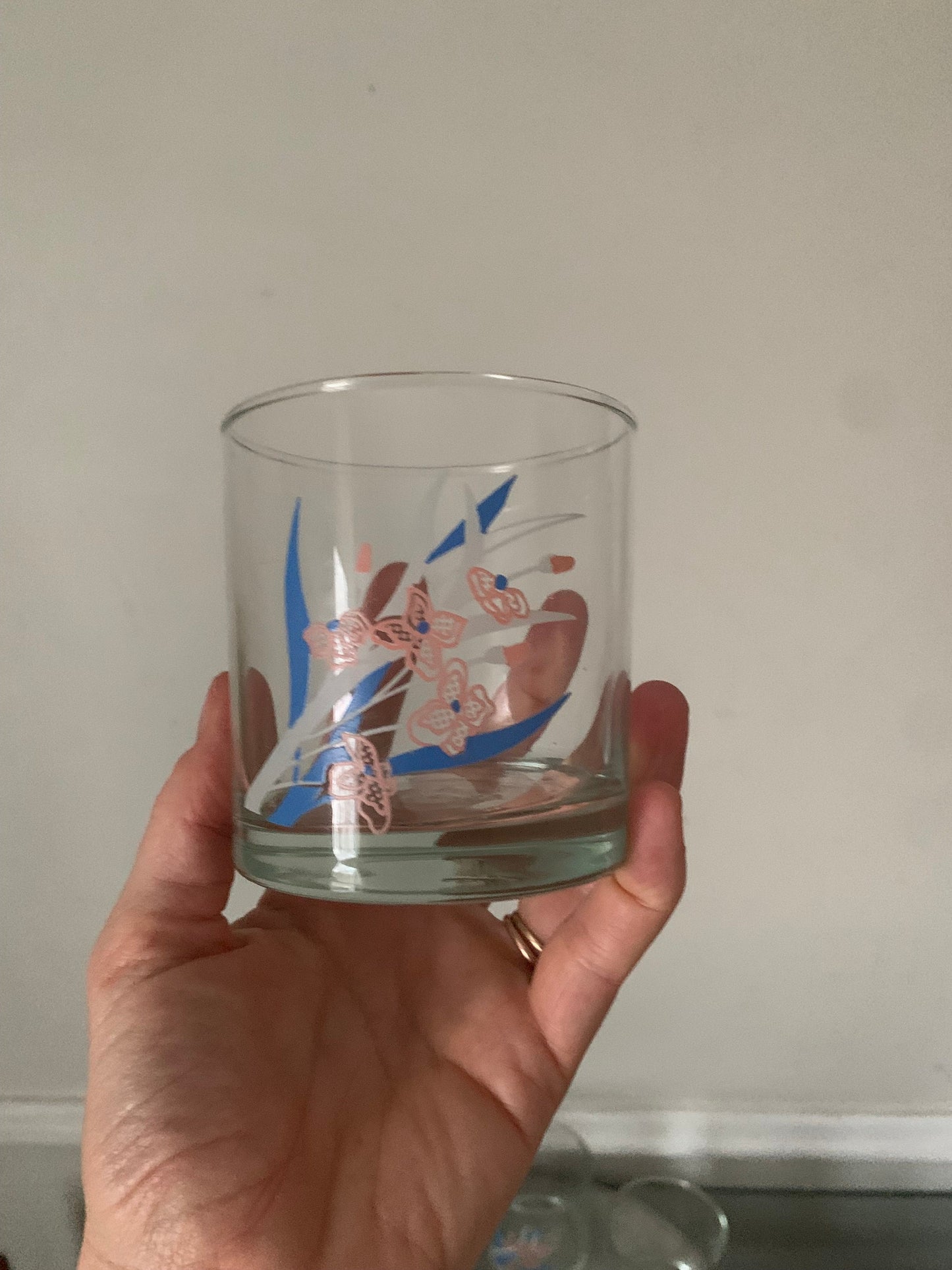 Set of 6 Retro Pink and Blue Flower Low Ball Glasses