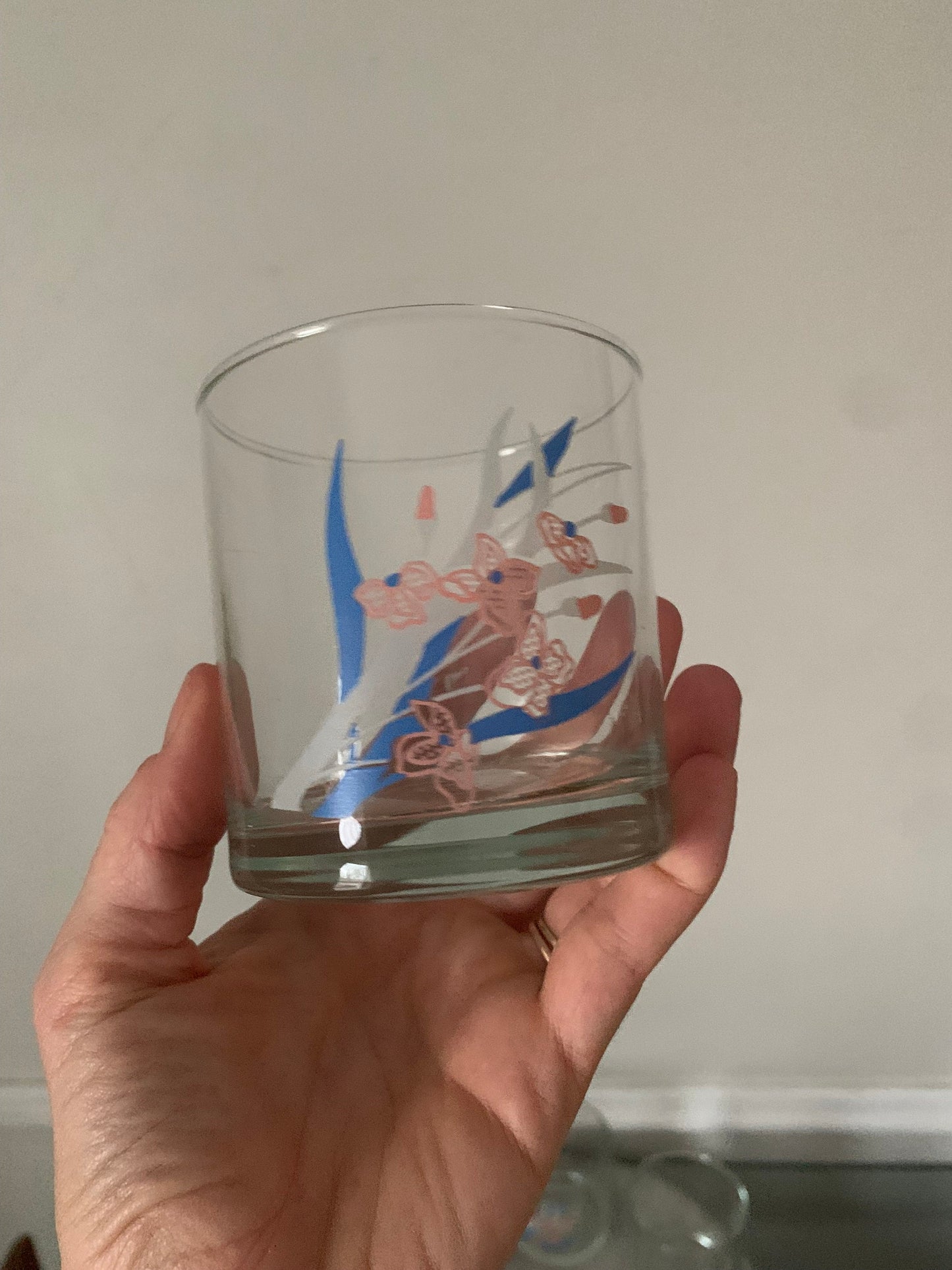 Set of 6 Retro Pink and Blue Flower Low Ball Glasses