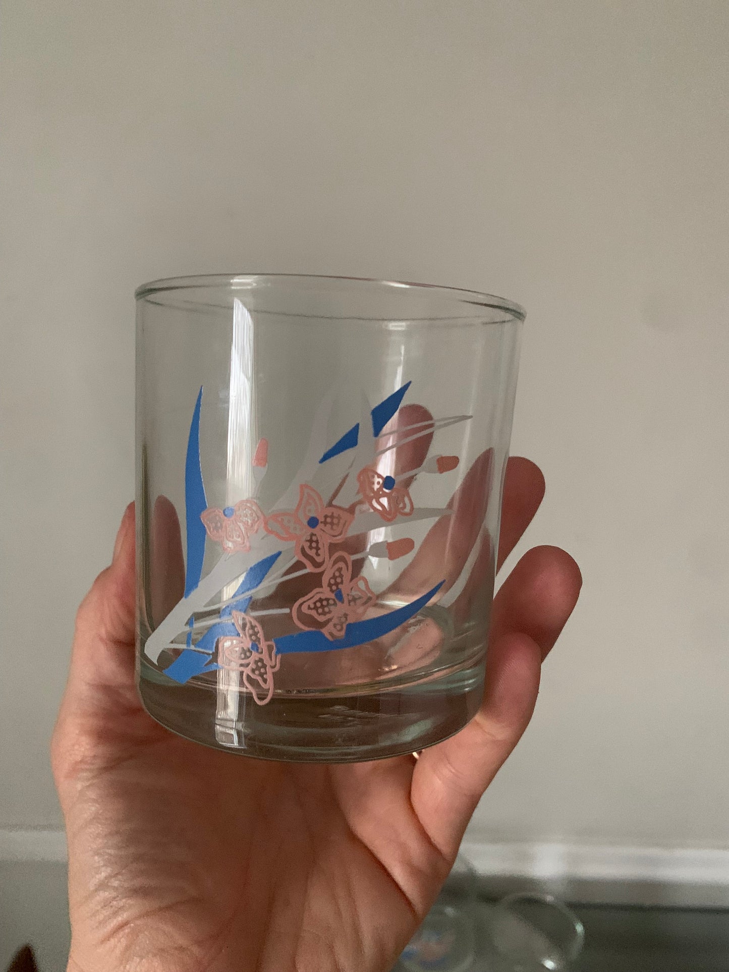 Set of 6 Retro Pink and Blue Flower Low Ball Glasses