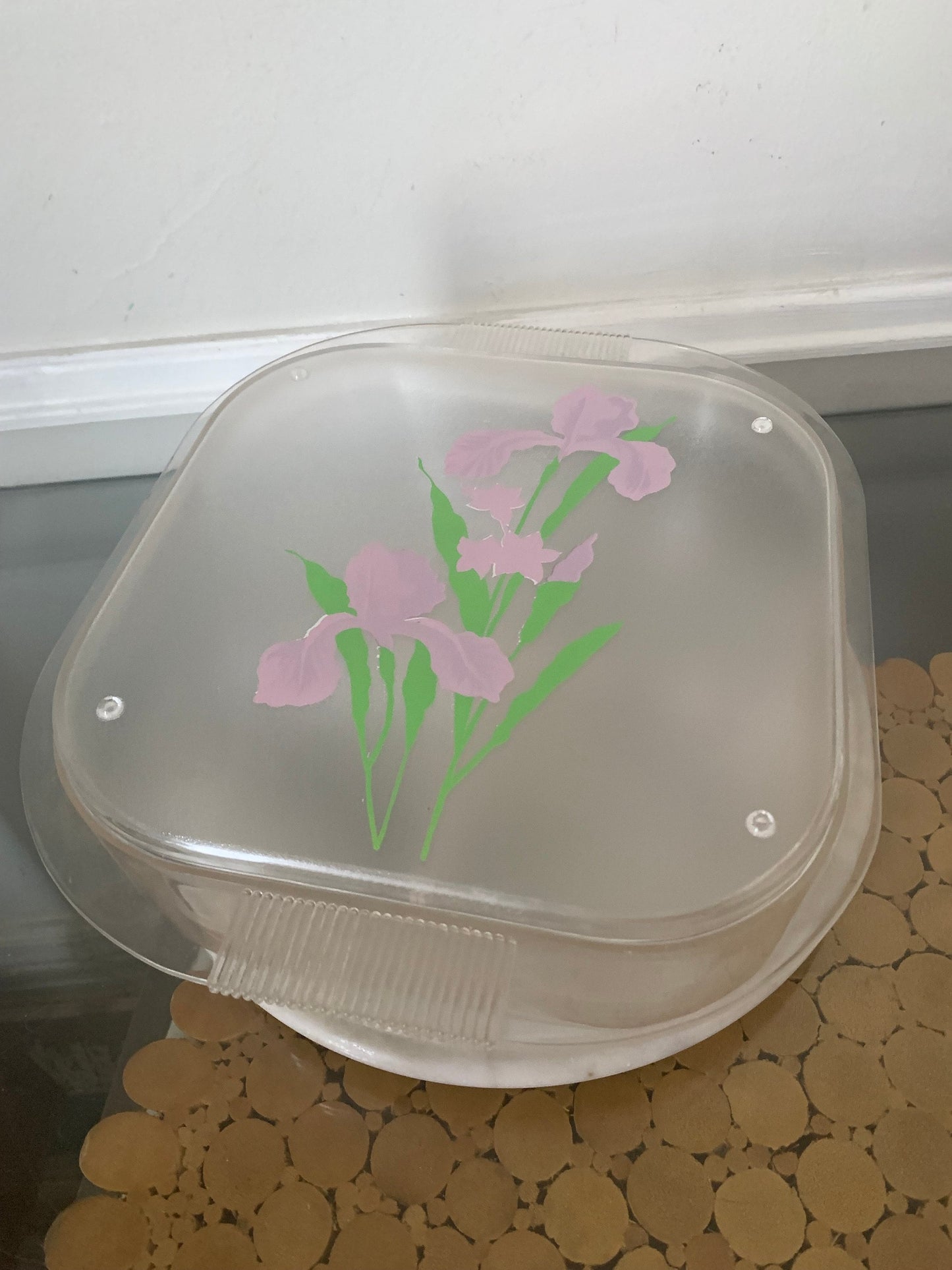 Retro Frosted Plastic Container with Irises with 4 Divided Containers
