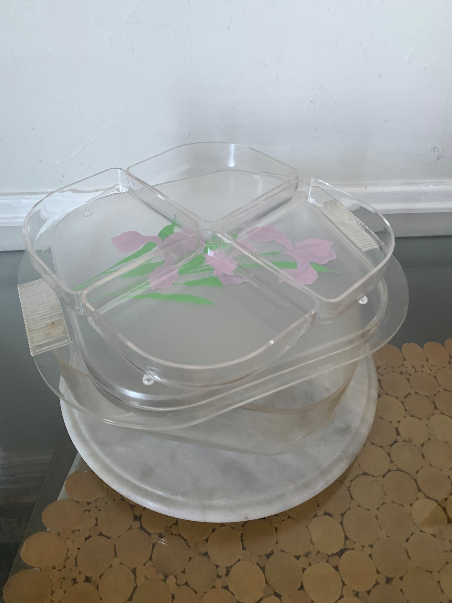 Retro Frosted Plastic Container with Irises with 4 Divided Containers