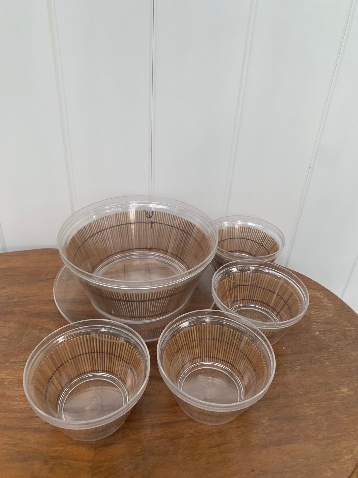 Retro 5 Piece Double Walled Clear Acrylic Salad Bowl Set with Bamboo