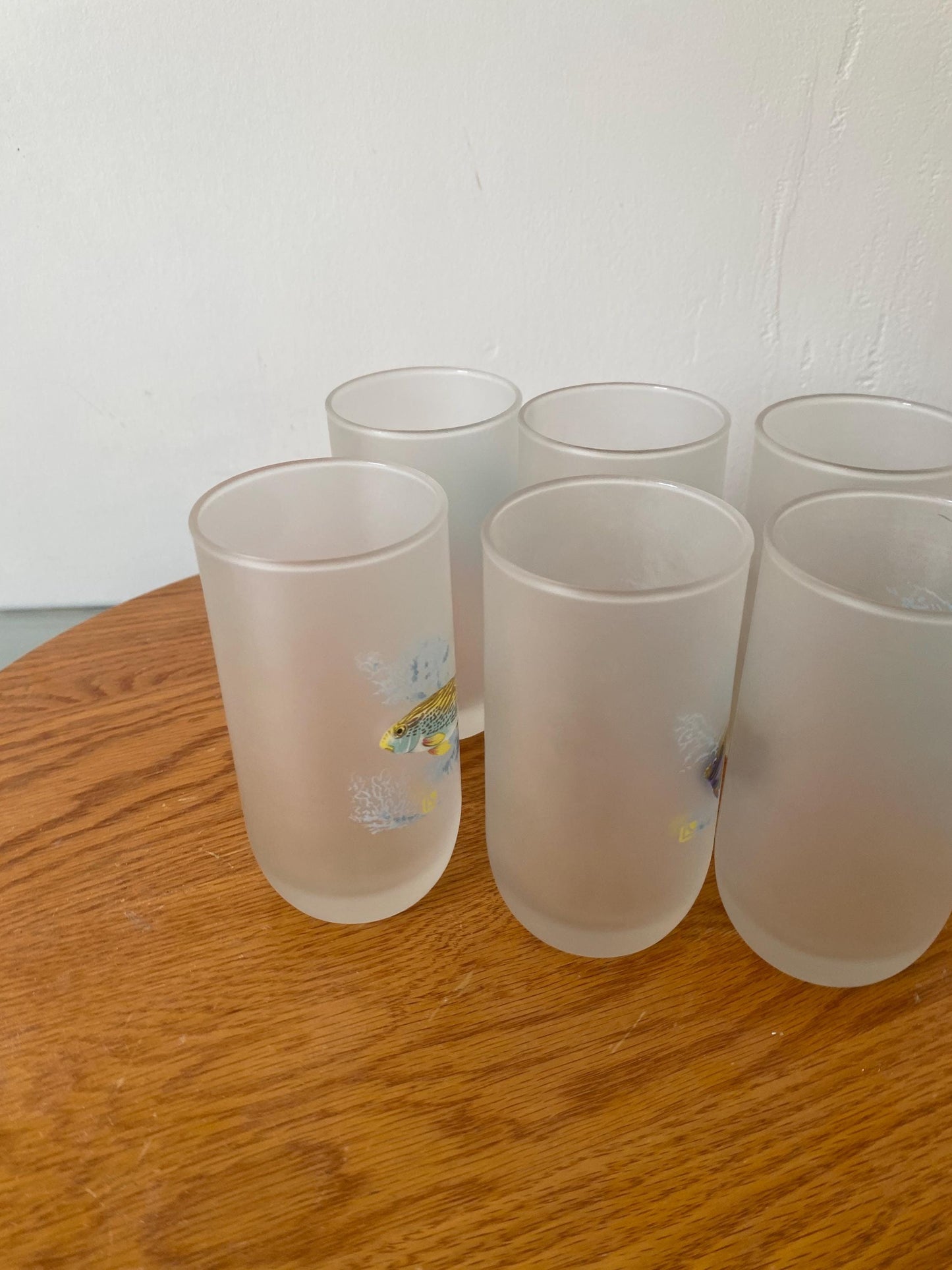 Retro Set of 6 Frosted Glass Tumblers with Tropical Fish