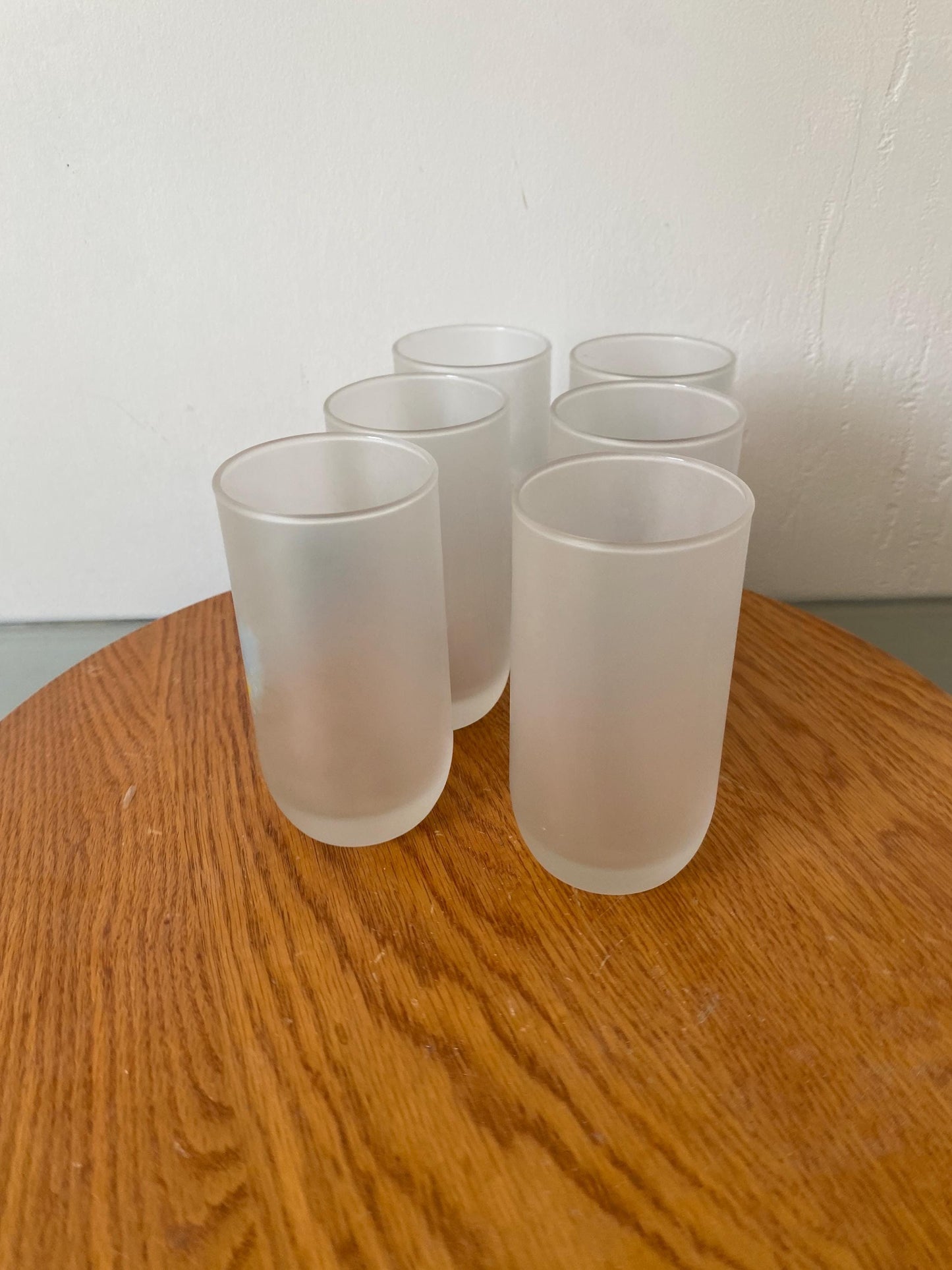 Retro Set of 6 Frosted Glass Tumblers with Tropical Fish