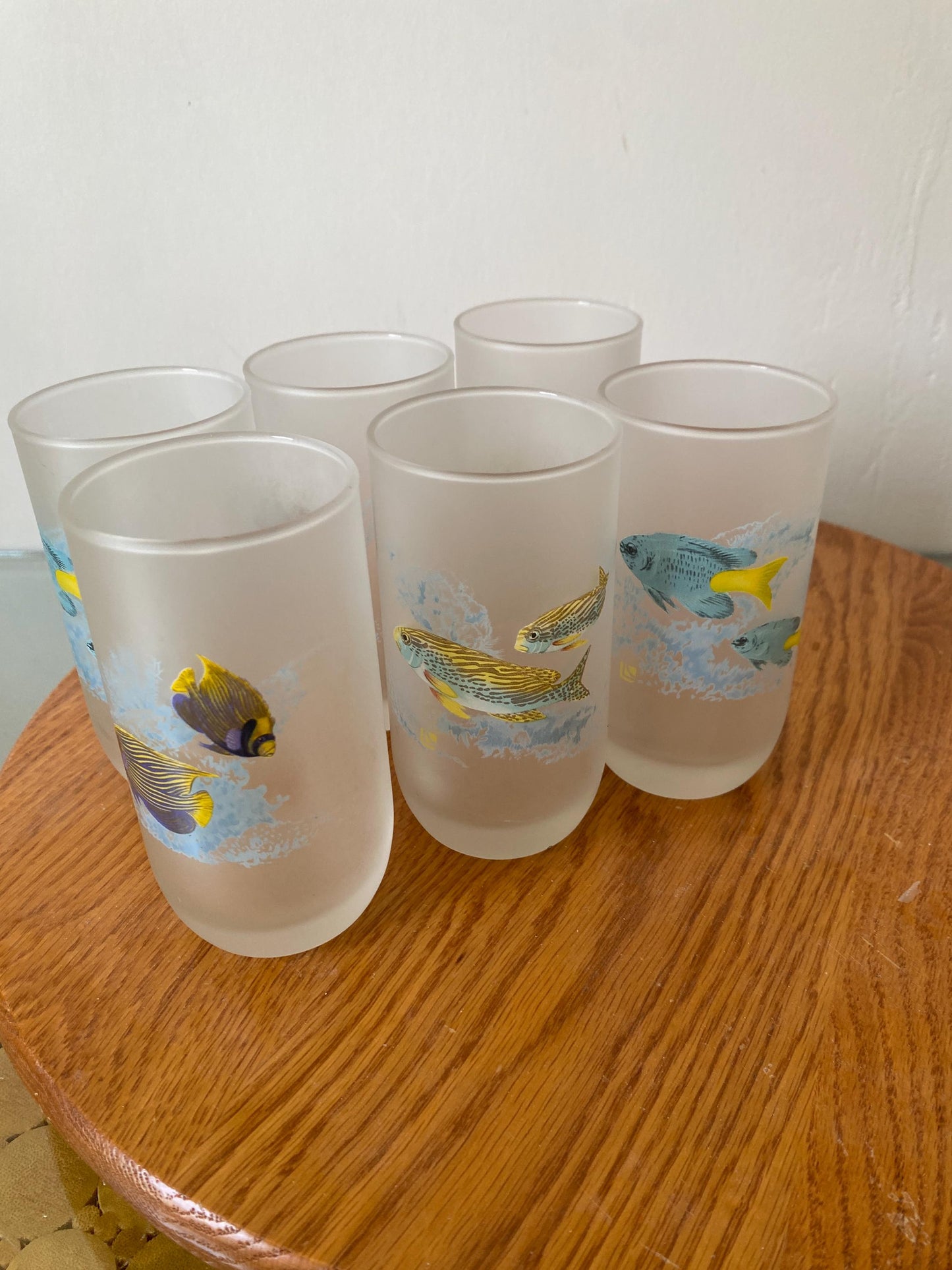 Retro Set of 6 Frosted Glass Tumblers with Tropical Fish