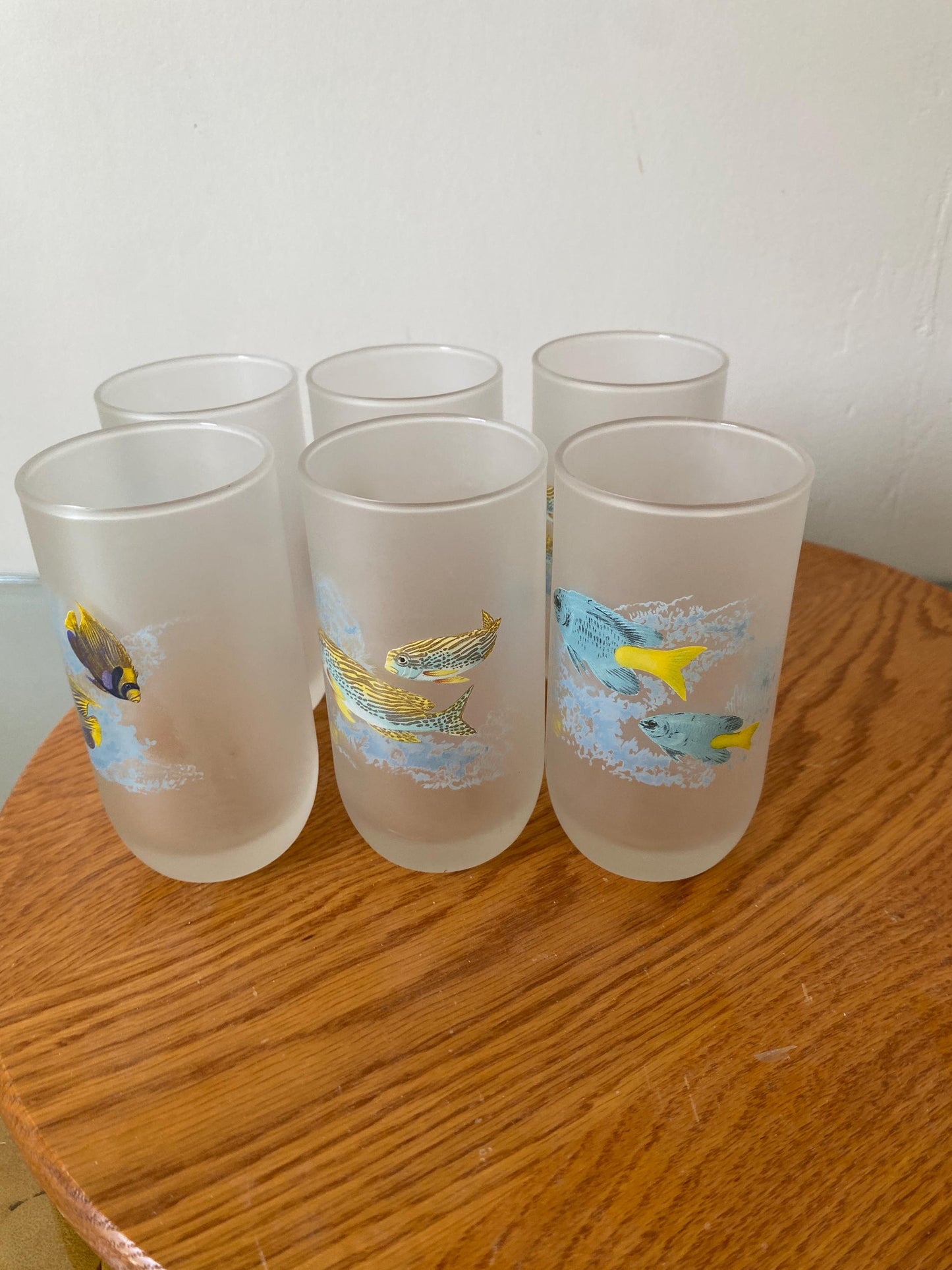 Retro Set of 6 Frosted Glass Tumblers with Tropical Fish