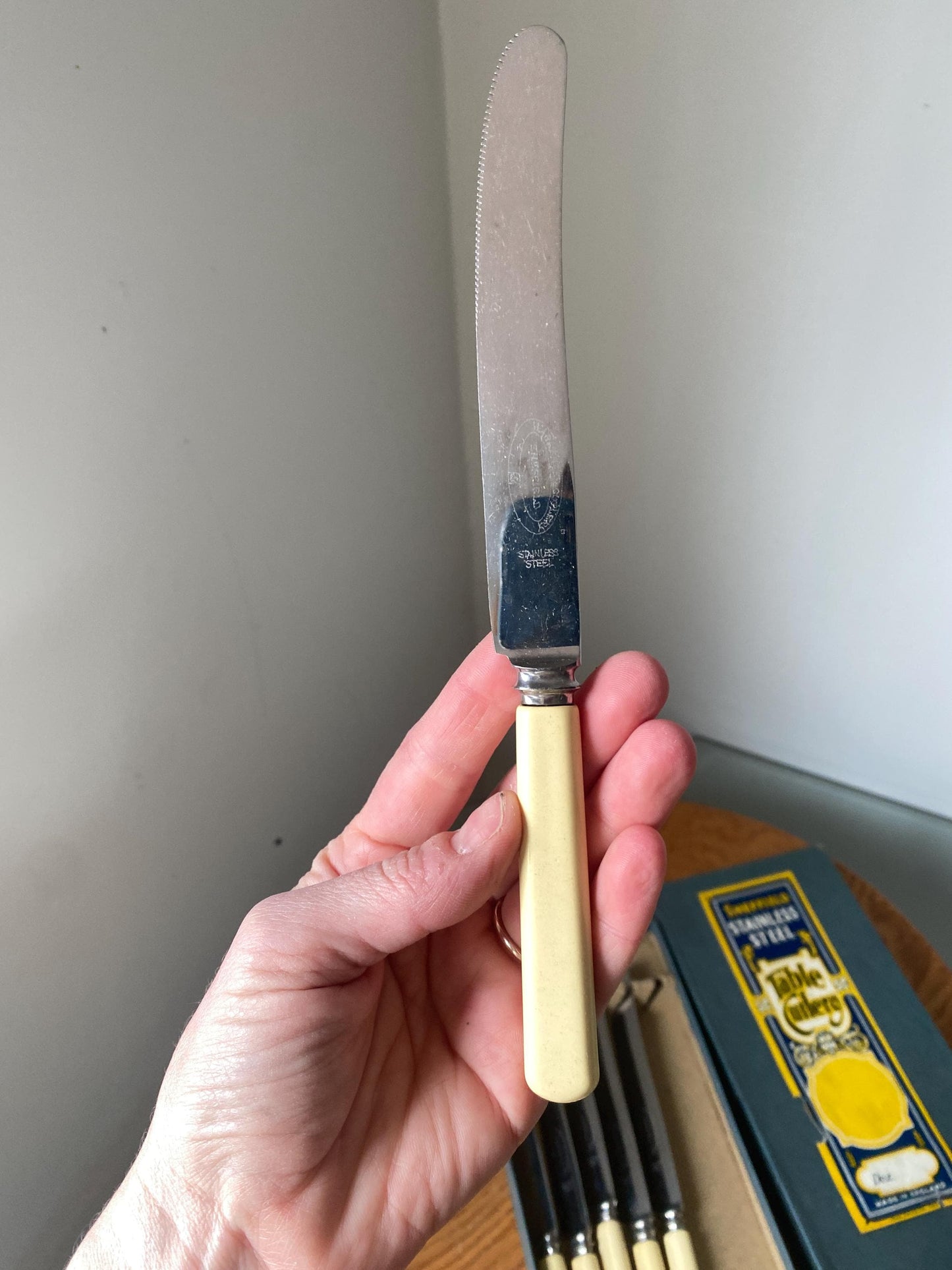 Set of 6 Antique Stainless Steel Sheffield Butter Knives with Celluloid Handle in Original Box Made in England