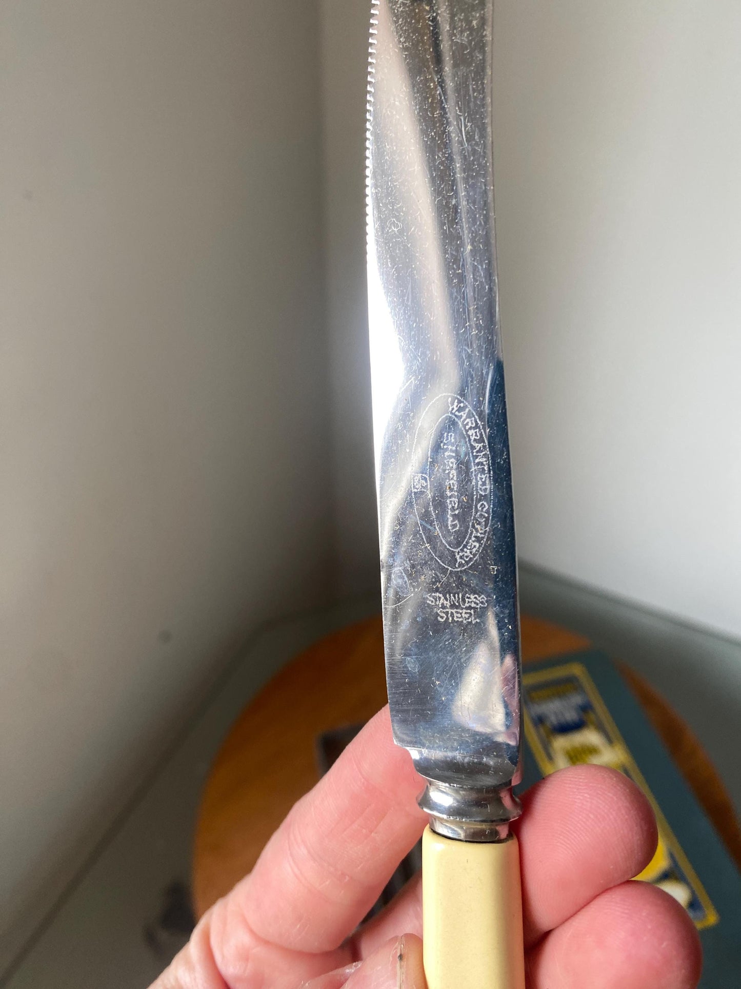 Set of 6 Antique Stainless Steel Sheffield Butter Knives with Celluloid Handle in Original Box Made in England